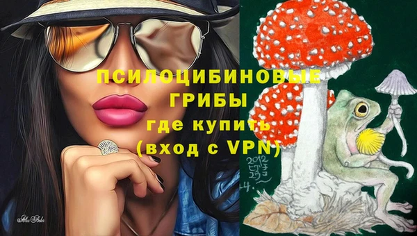 apvp Алзамай
