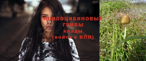 apvp Алзамай