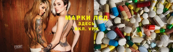 мяу мяу мука Инсар