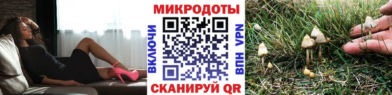 цена наркотик Бирск Галлюциногенные грибы Psilocybine cubensis