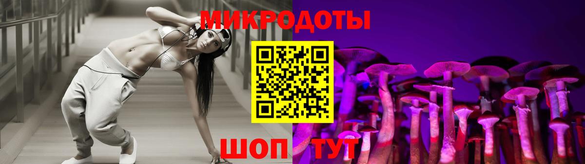 Галлюциногенные грибы Cubensis Бирск